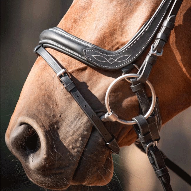 Capitol Premium Anatomic Flash Bridle - Image 11
