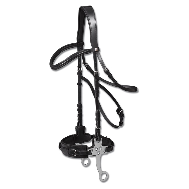 WH X-Line Hackamore Bridle