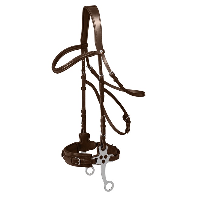 WH X-Line Hackamore Bridle - Image 2
