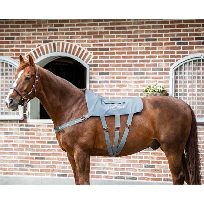 Equilibrium Massage Pad - Image 3