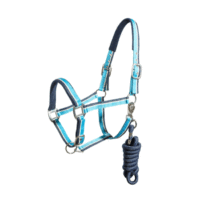 Regus Terry Halter Navy & Blue