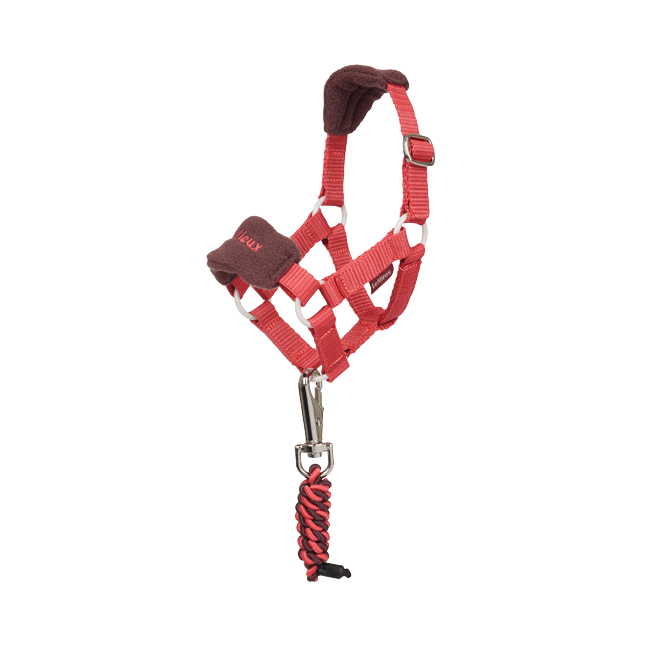 LeMieux Toy Pony Headcollar - Image 3