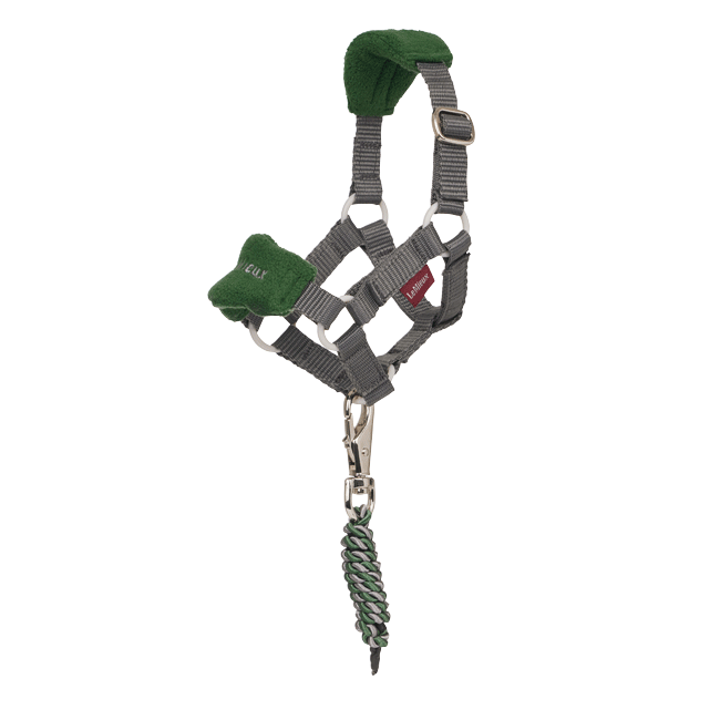 LeMieux Toy Pony Headcollar Hunter Green