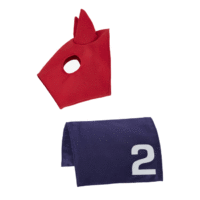 LeMieux Toy Pony Racing Cloth & Hood