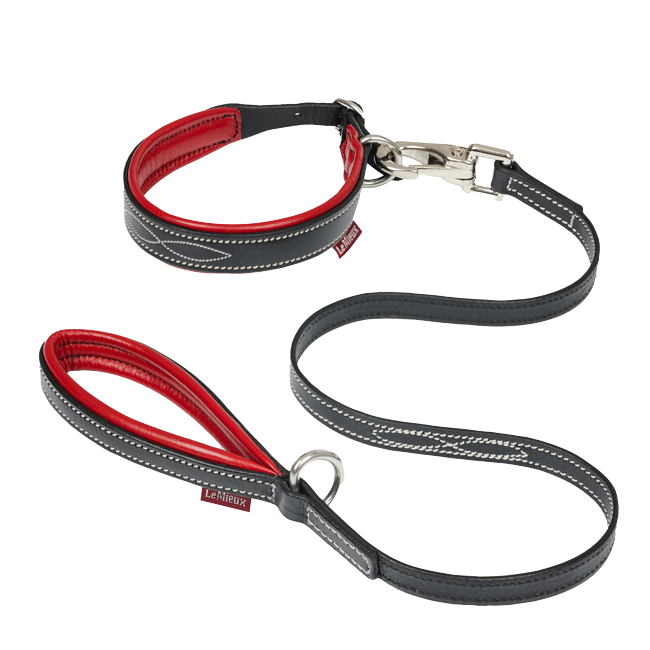LeMieux Toy Puppy Collar & Lead