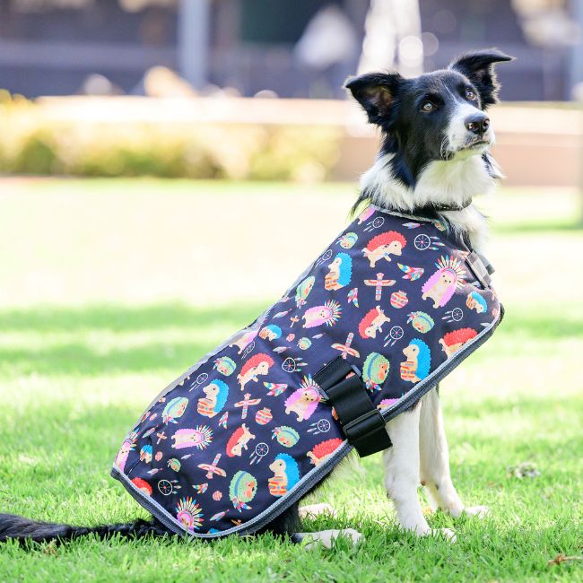 Equiforce Funky Dog Rug - AW26 - Image 4