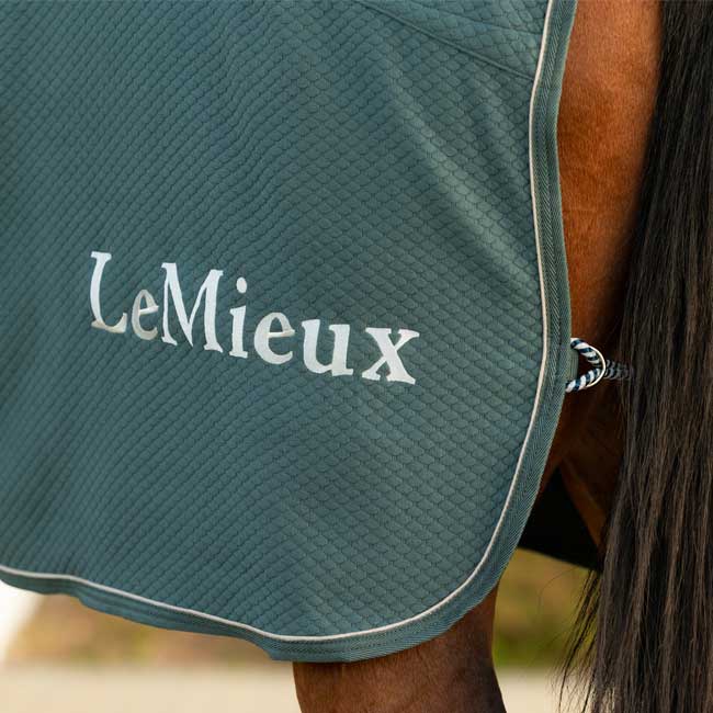 LeMieux Kudos Bamboo Cooler Rug - Image 2