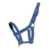 WH Mini-Shetty Halter Blue