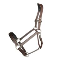 Capitol Prime Halter Brown