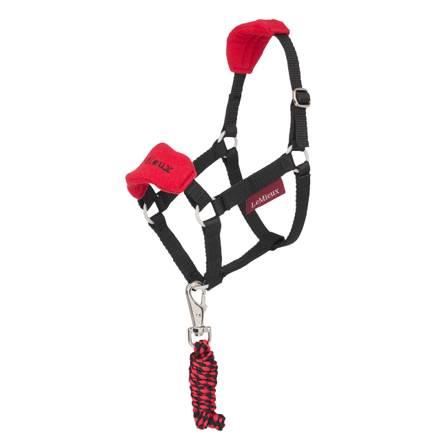LeMieux Hobby Horse Vogue Headcollar Set - Red and Black