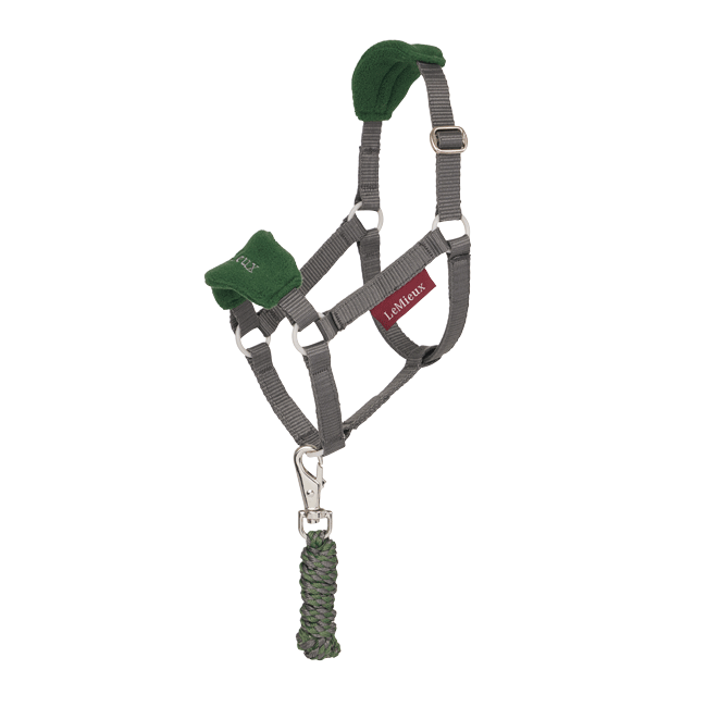 LeMieux Hobby Horse Vogue Headcollar Set Green & Grey