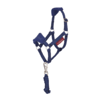 LeMieux Hobby Horse Vogue Headcollar Set Blue