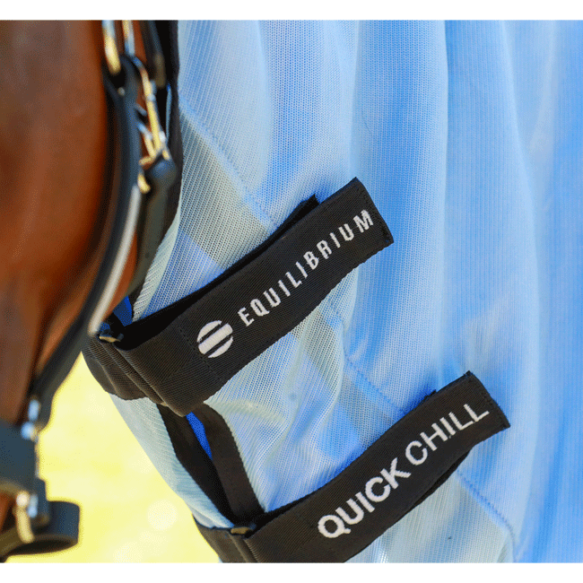 Equilibrium Quick Chill With Neck Cool Rug Closing