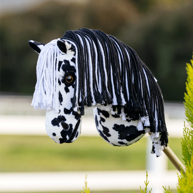 LeMieux Hobby Horse - Dakota - Image 2