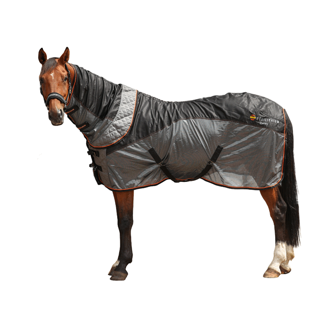 Equilibrium Therapy Magnetic Rug - Image 3