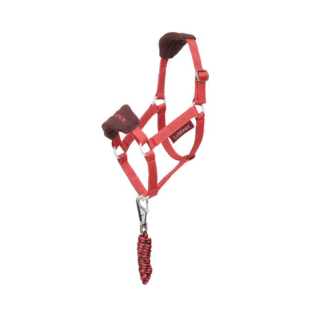 LeMieux Hobby Horse Vogue Headcollar Set