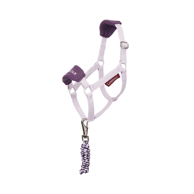 LeMieux Hobby Horse Vogue Headcollar Set - Image 2