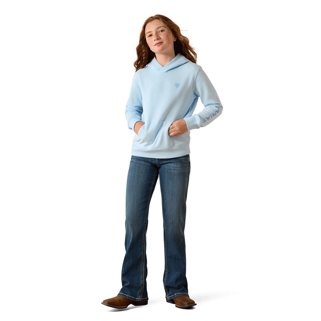 Ariat Youth 2.0 Hoodie - SS26 - Image 4