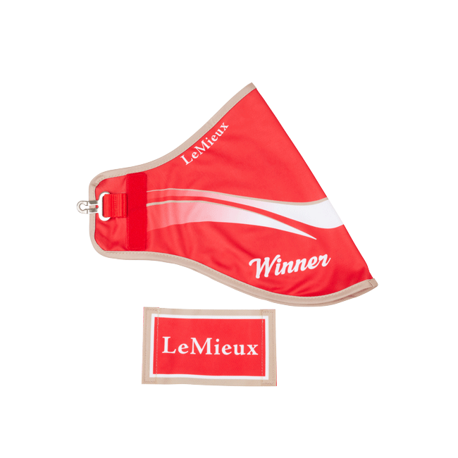 Lemieux Hobby Horse Winners Rugs