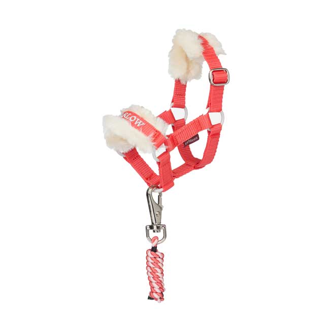 LeMieux Harlow Toy Pony Headcollar Set - SS26