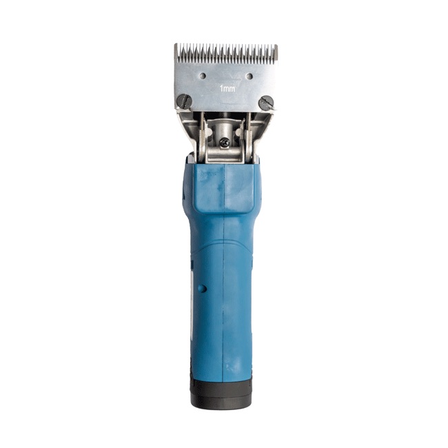 GTS 2605 Clipper - Image 2