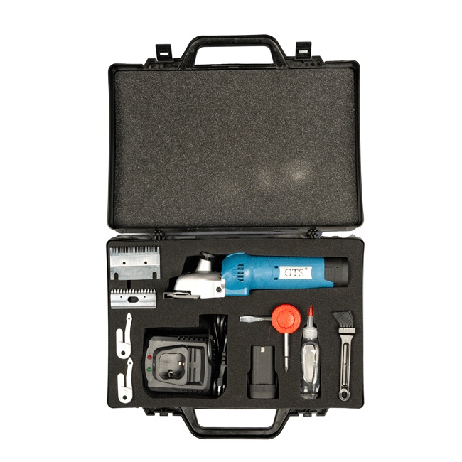 GTS 2605 Clipper - Image 3