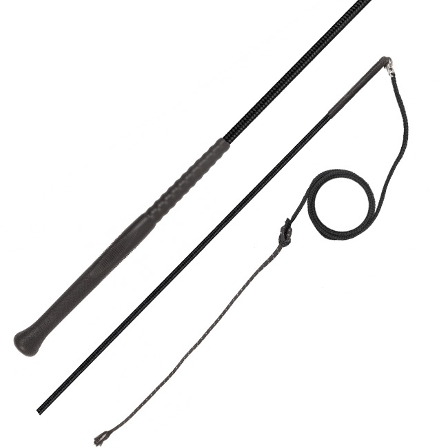 Fleck Lunge Whip