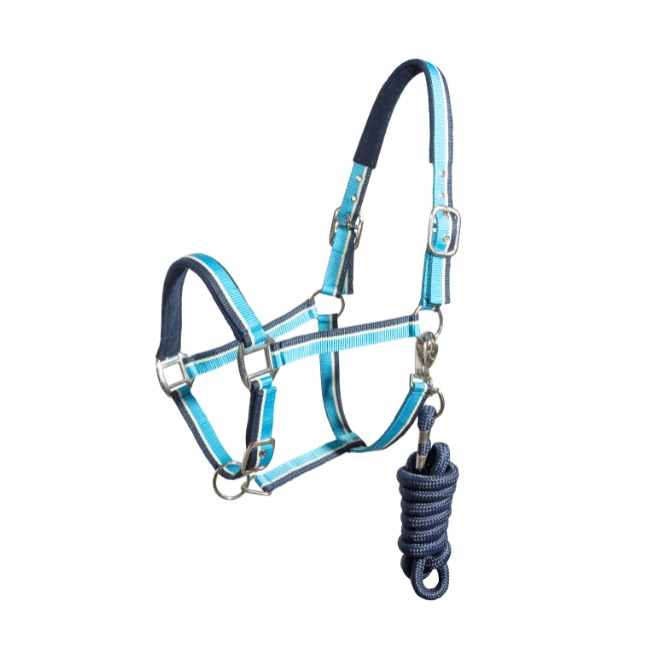 Regus Terry Halter - Image 3