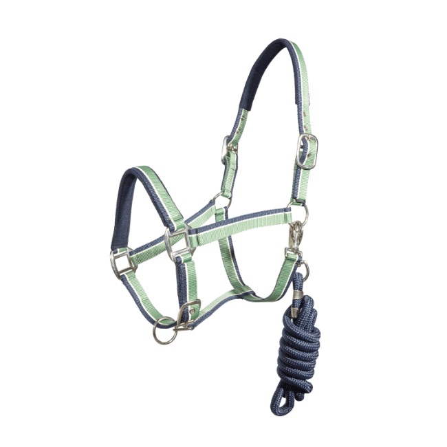 Regus Terry Halter - Image 4
