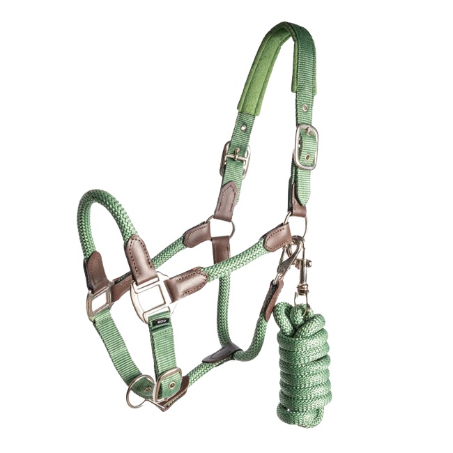 Regus Cornet Halter Set - Image 4