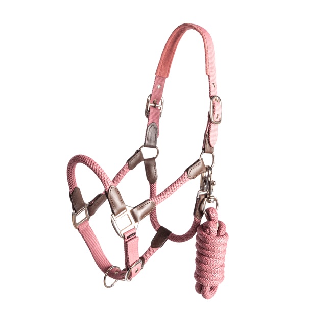 Regus Cornet Halter Set - Image 2