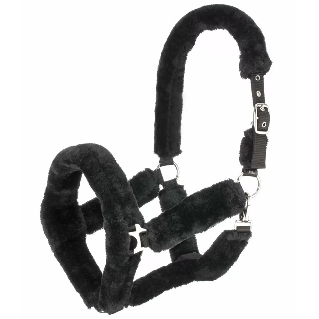 Regus Cloud Teddy Fleece Halter Set - SC24 - Image 3