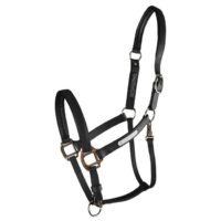 Equilibrium Stellar All Weather Halter Set Black