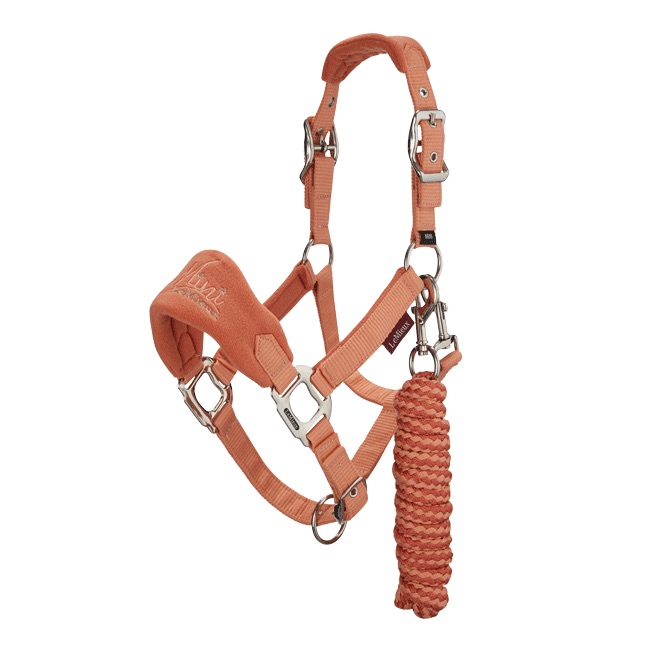 LeMieux Mini LeMieux Vogue Headcollar - AW23