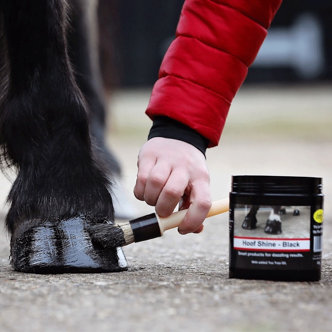 Smart Hoof Shine - Image 6