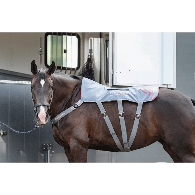 Equilibrium Heatsense Massage Pad - Image 15