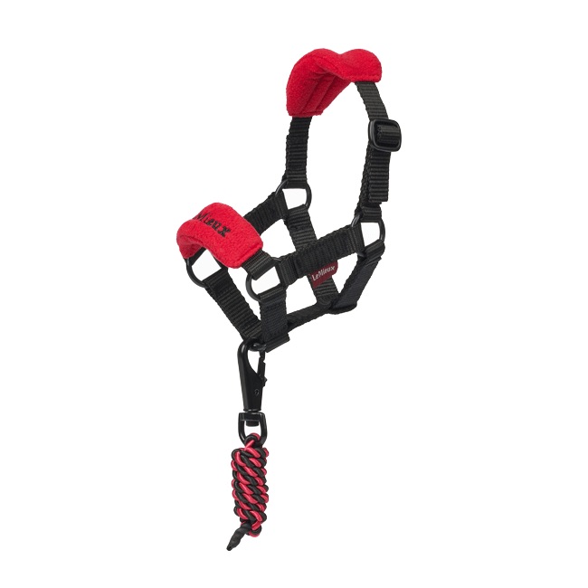 LeMieux Toy Pony Headcollar - Image 7