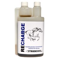 Stride Recharge 1l