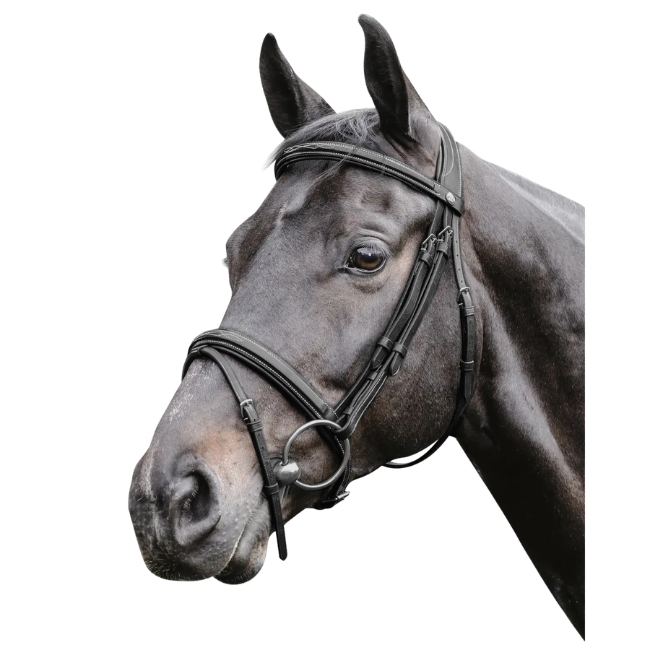 Prestige Raised Bridle With Stitching Black