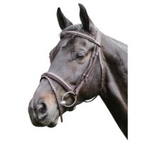 Prestige Raised Bridle With Stitching Brown