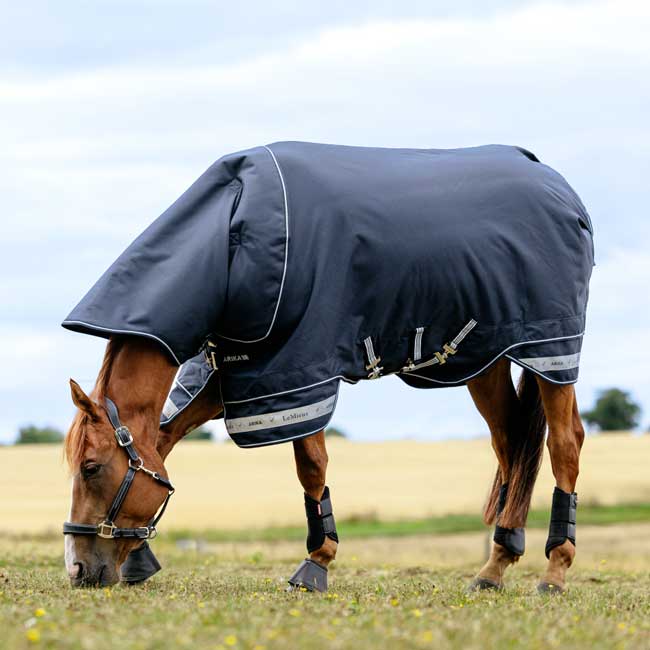 LeMieux Arika Storm-Tek Turnout Rug 100g - SC26 - Image 2